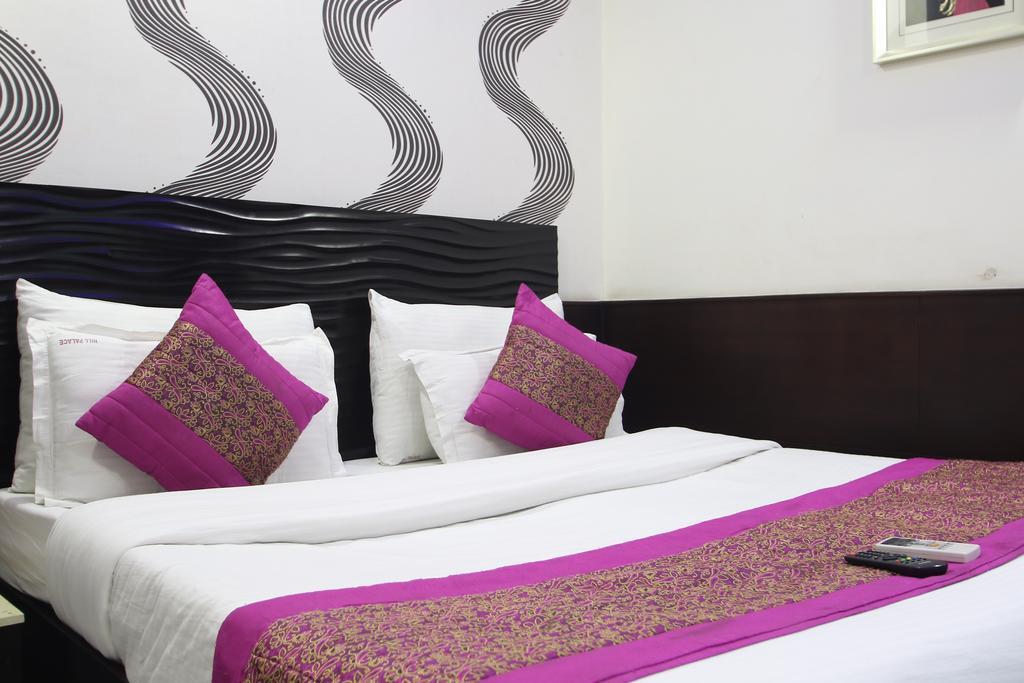 Hotel Hill Palace -Near Karol Bagh Metro Station Delhi  Dış mekan fotoğraf